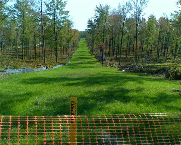 Pipeline After Being Seeded